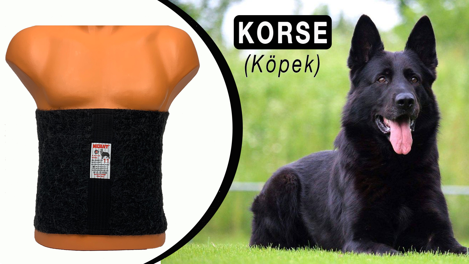 KÖPEK BANNER_