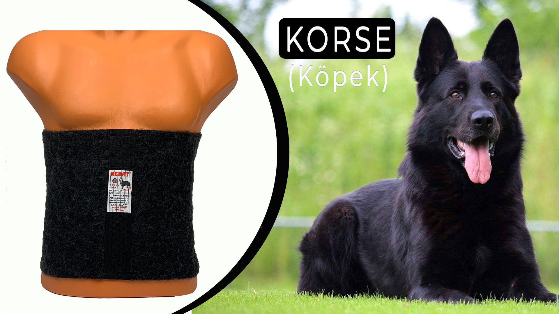 KÖPEK-BANNER_